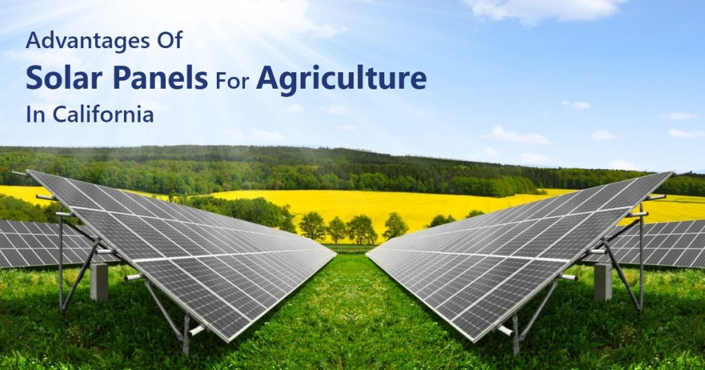 Advantages Of Solar Panels For Agriculture In California