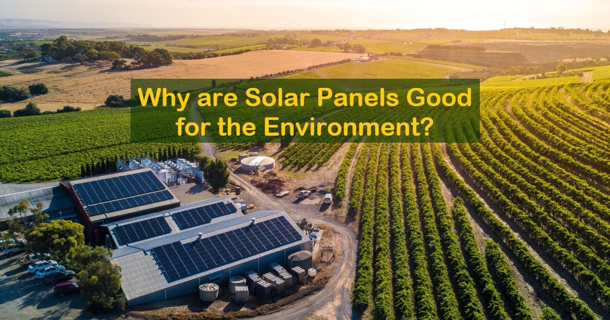 Make Every Day World Environment Day With Solar in 202122!